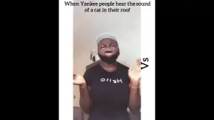 Lasisi Elenu - How Americans React To A Cat In Their Roof vs How NIGERIANS React (Comedy Video)