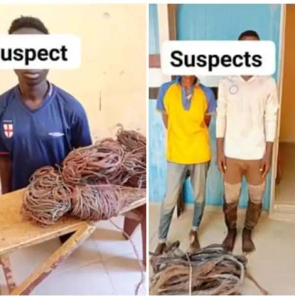 NSCDC arrests three electric cable thieves for vandalising transformer and streetlights for Jigawa
