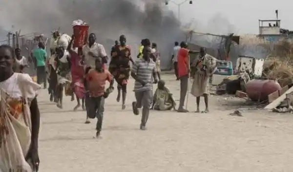 Bandits Kill 2 Herders, Rustle 103 Cows In Kogi