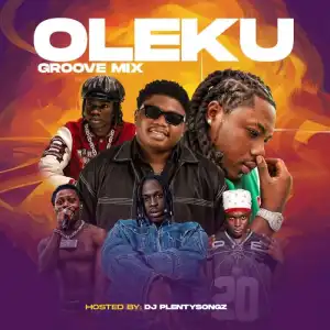 DJ PlentySongz – Oleku Groove Mix