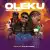 DJ PlentySongz – Oleku Groove Mix