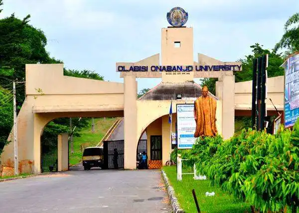 OOU Produces Anti-COVID-19 Herb, Awaits NAFDAC Approval