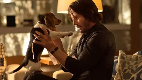 John Wick Directors Fought to Keep Dog Death in Action Movie