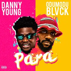 Danny Young ft. Odumodublvck – Para