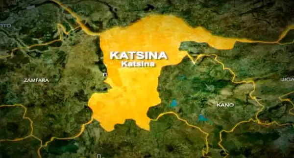 Elections: 15 arrested in Katsina over suspicion to tamper with results