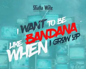 Shatta Wale – I Want To Be Like Bandana