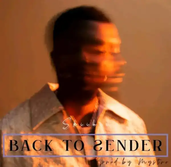 Skiibii – Back to Sender (Instrumental)