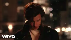 Shawn Mendes – It’ll Be Okay (Video)