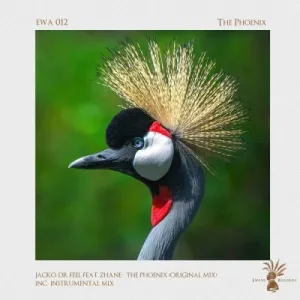Jacko & Dr Feel – The Phoenix ft Zhané