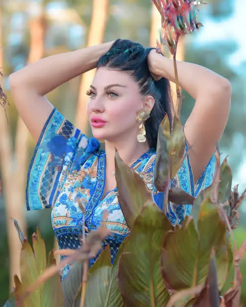 Biography & Career Of Safinaz