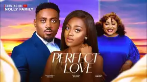 Perfect Love (2024 Nollywood Movie)