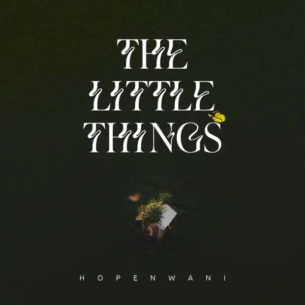 Hope Nwani – The Little Things