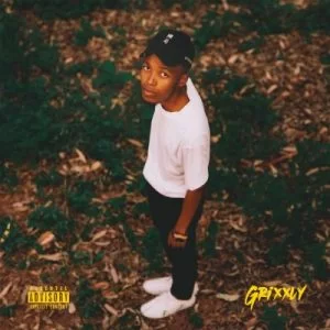 Grixxly – Said It