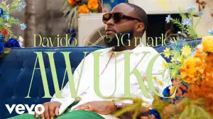 Davido, YG Marley - Awuke (Video)