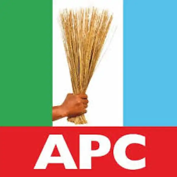 Ambassador Ogbuewu Canvasses Votes For APC