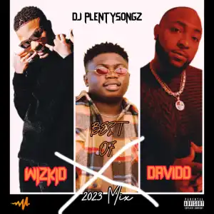 DJ PlentySongz – Best Of Davido & Wizkid 2023 Mix