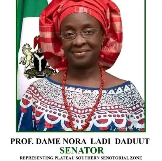 Angry Youths Attack Senator Nora Dadu’ut Over Poor Representation, Burn Vehicles