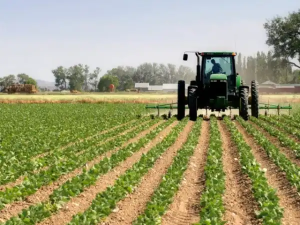 COVID-19: AFDB tasks Nigeria, others on digital options in food systems
