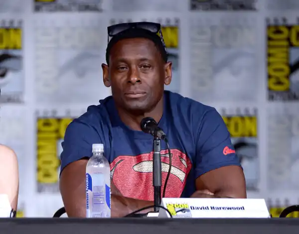 Age & Career Of David Harewood