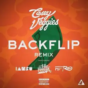 Casey Veggies - Backflip (Remix) Ft. Iamsu!, Wiz Khalifa & ASAP Ferg