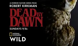 Dead by Dawn