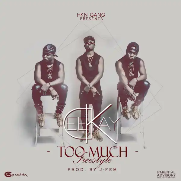 Deekay - Too Much (Freestyle)