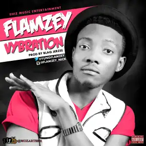 Flamzey - Vybration