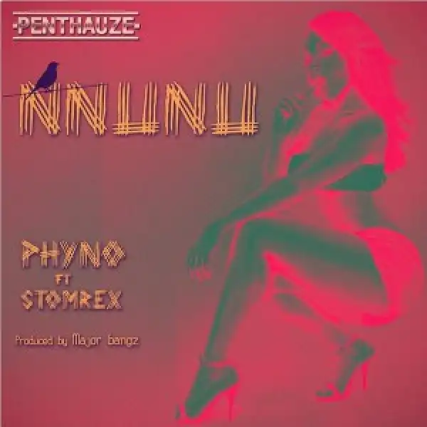 Phyno - Nnunu Ft. StormRex (Prod. By Major Bangz)
