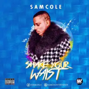 Samcole - Shake Your Waist