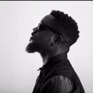 Sarkodie - The Masses