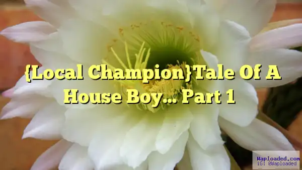 Tale Of A House Boy (Local Champion) - Season 1 - Episode 7