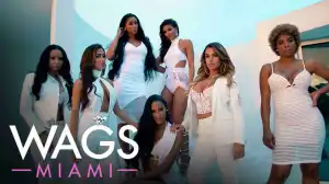 WAGS Miami