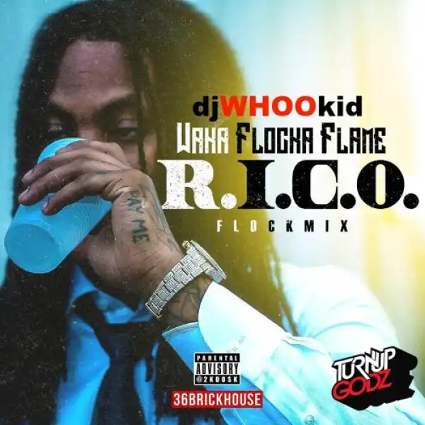 Waka Flocka - R.I.C.O. (Freestyle)