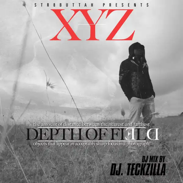XYZ - The Owl (Depth Of Field)