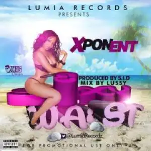 Xponent - Sexy Waist