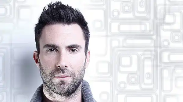 Career & Net Worth Of Adam Noah Levine