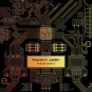 Thakzin – Please Don’t ft Audrey