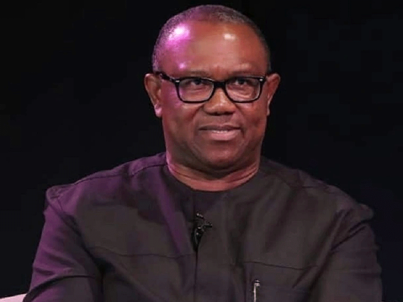 Only Peter Obi can save Nigeria – Labour Party