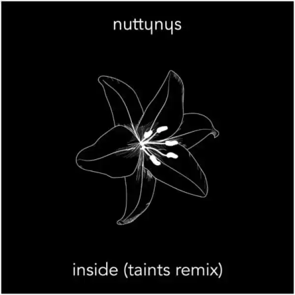 Nutty Nys – Inside (Taints Remix)