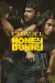 Citadel Honey Bunny (2024) [Hindi] (TV series)