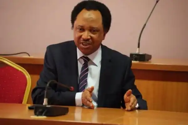 Let Us See Evidence When You Kill Bandits, Ex-Nigerian Lawmaker, Shehu Sani, attacks Nigerian Government