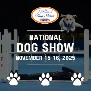 The National Dog Show (2025)