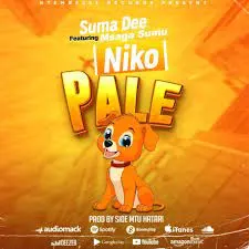 Suma Dee – NIKO PALE ft Msaga Sumu
