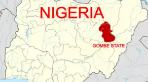 31-year-old man arrested for allegedly killing aunt in Gombe