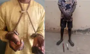 Police rescue kidnap victim chained with padlock on neck, hands in Niger forest