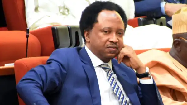 Nigerians Now Buying Naira At Black Market; CBN Under Emefiele Is Shrine Of Poverty – Shehu Sani Blows Hot