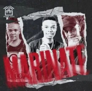 BL Zero, Lebzito & Kamo the Vocalist – Marinate ft Major League Djz & DJ Karri