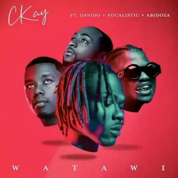 CKay ft. Davido – WATAWI (Instrumental)