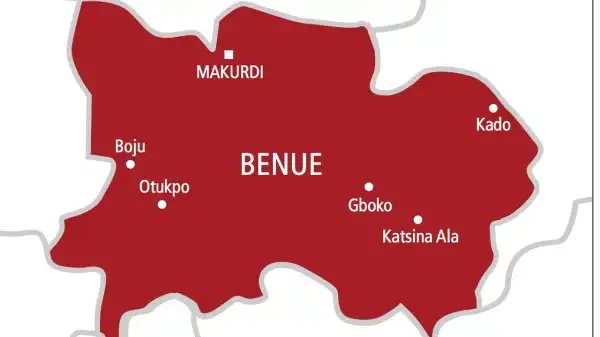 Seven family members hospitalised in Benue after consuming pap