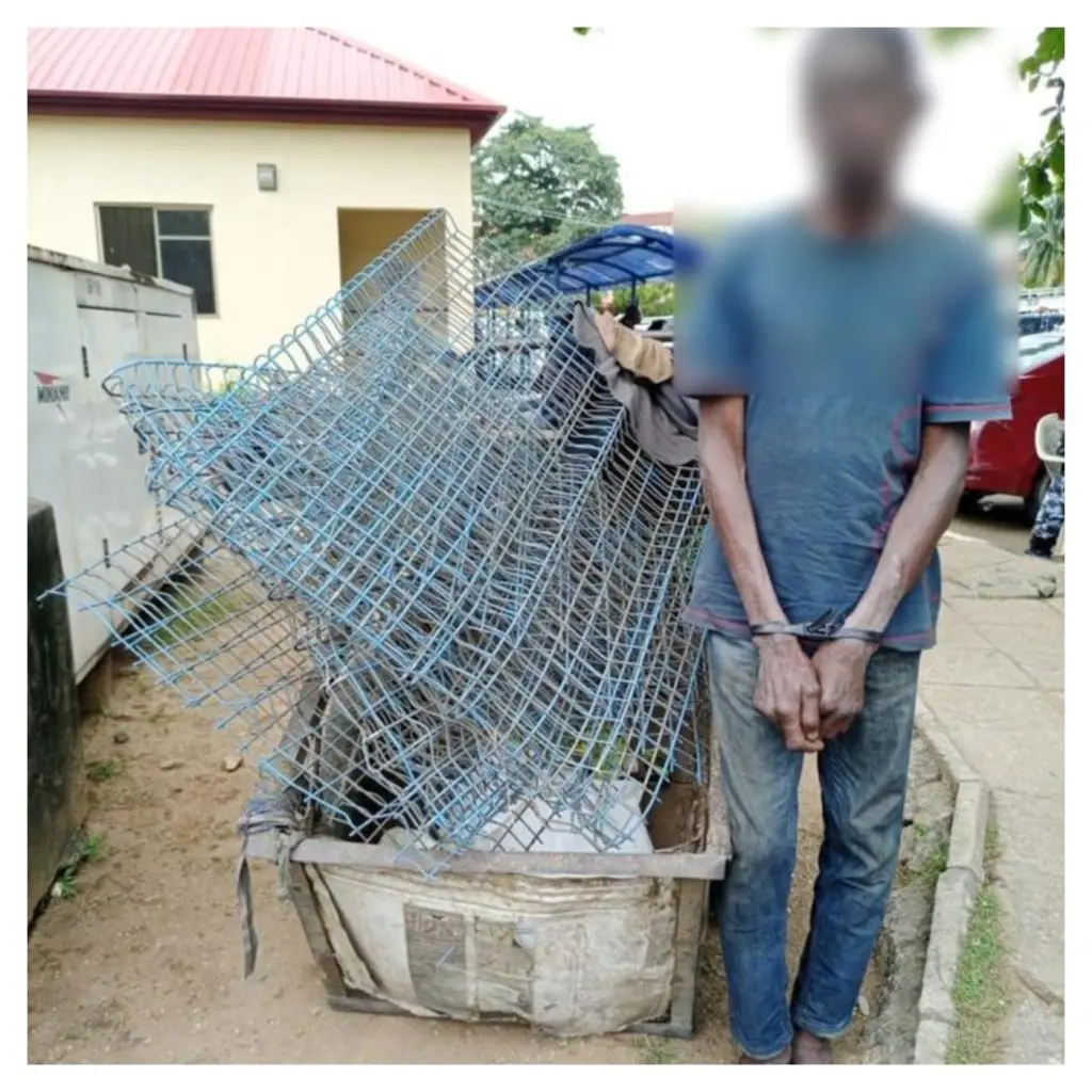 Police arrest man for vandalising govt wire mesh in Lagos